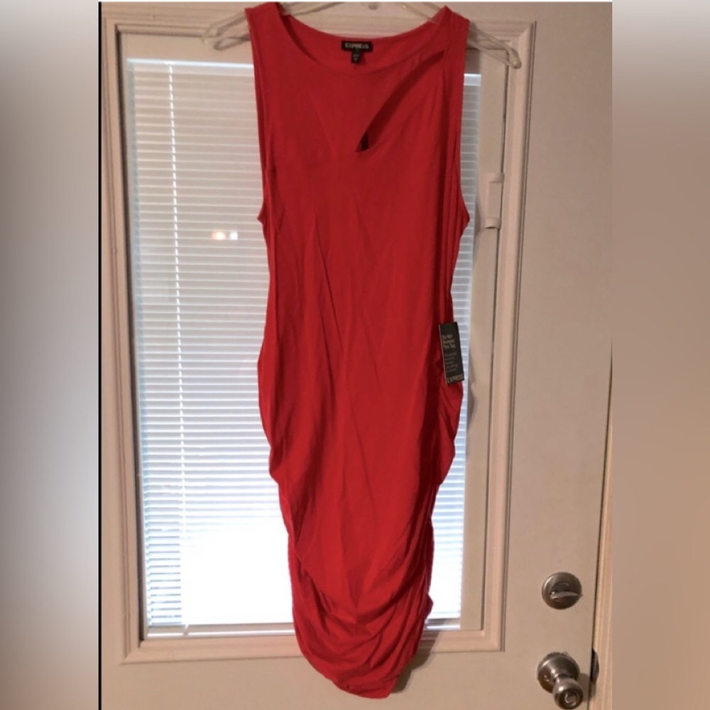 NWT Express Dress